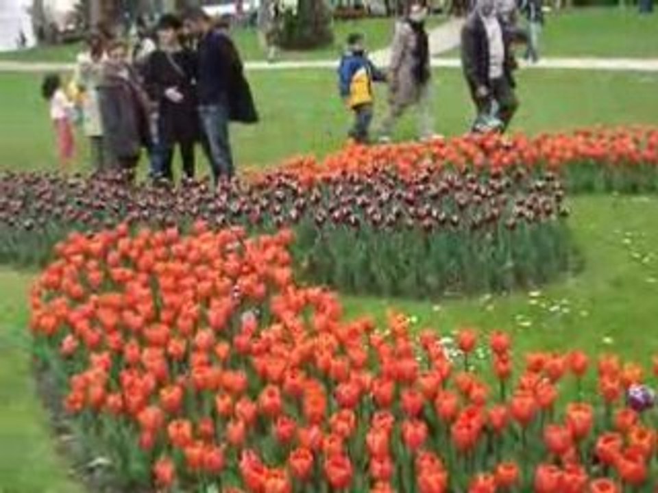 Fete de Tulip 93