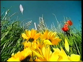 Nova TV 23.02.2004. - Reklame i Promo Klipovi 🎥