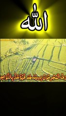 Surah Rahman 3#surahrahman #shorts #relaxing #foryou #IslamicShorts#QuranRecitation