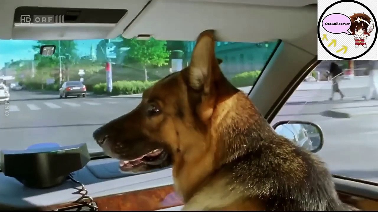 Comisario Rex Temporada 5 Capitulo 1