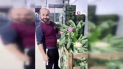 Bandırma halinde görülmemiş olay  Mor karnabahar şaşkınlık yaşattı