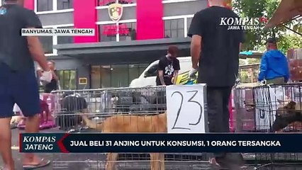 Jual Beli 31 Anjing untuk Konsumsi, 1 Orang Jadi Tersangka