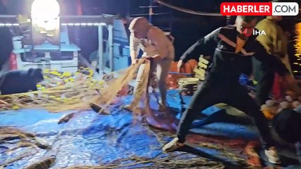 Kastamonu'da Palamut Bolluğu: 70 TL'den Satışa Sunuldu