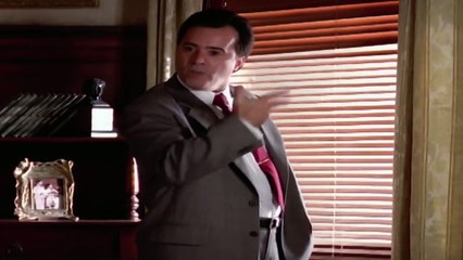 A VIDA COMO ELA É... - A VIÚVA ALEGRE - REDE GLOBO [1996]