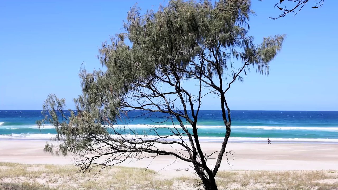 Foil Life Byron Bay Mondays