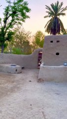 Experience the Charm of Simple Village Life in Pakistan & India 🌾
