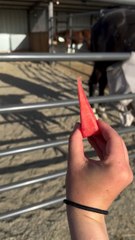 "First Watermelon Airplane Of The Season Follow For More Videos Have Virelreels Growaccount"...!!