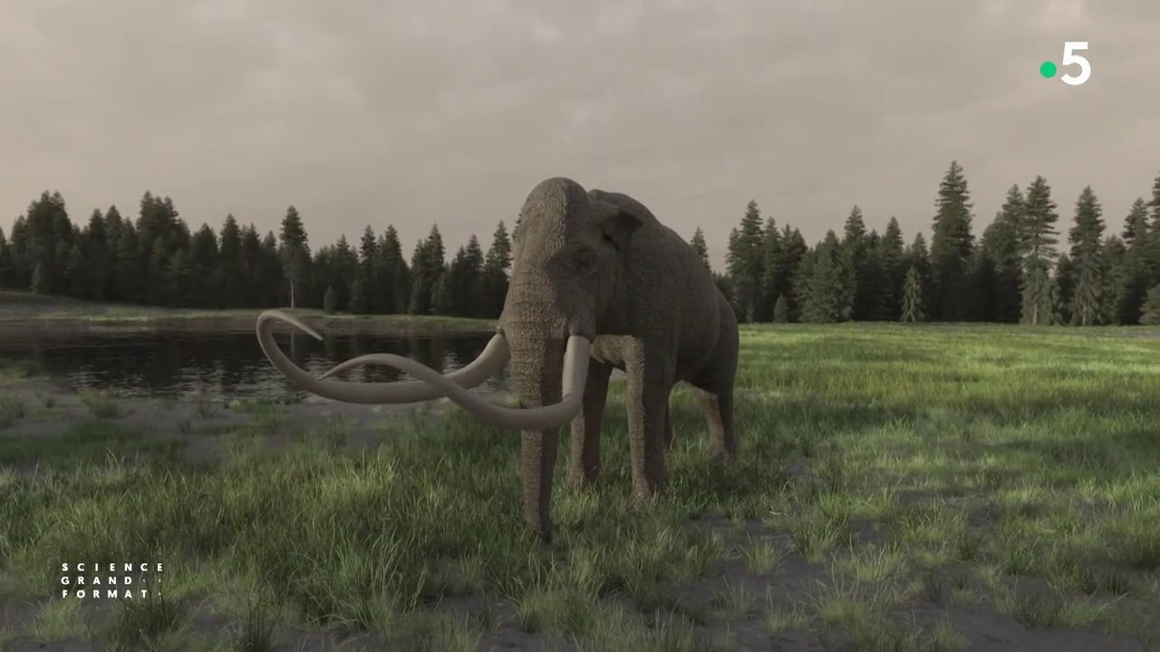 Science grand format - Le monde perdu des mammouths