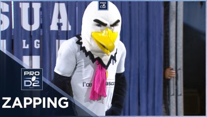 PRO D2 – Le Zapping de la J08  – Saison 2024-2025