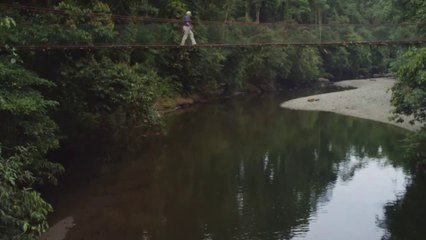 105 Butterflies_ Journey and Flight