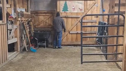 Towering giants share their stable with a little curious friend