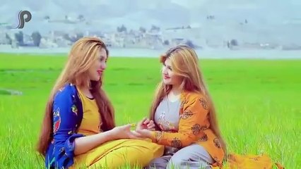 Melodic vibes, beat buzz, music songs,