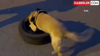 Kayseri'de Stepne İçinde 10 Kilo Uyuşturucu Ele Geçirildi