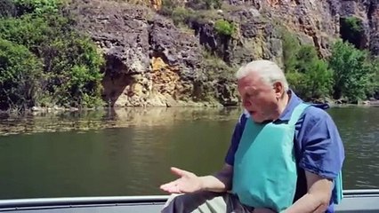 113 Bird Adaptations