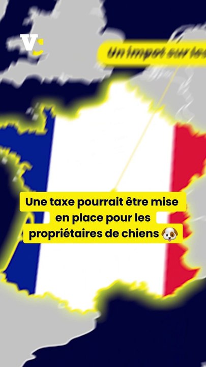 Une taxe sur les chiens va être mise en place ?