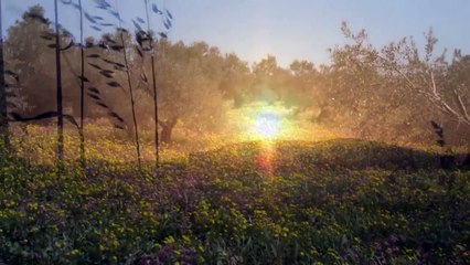 Jesus Capitulo 44 En Español Latino-HD