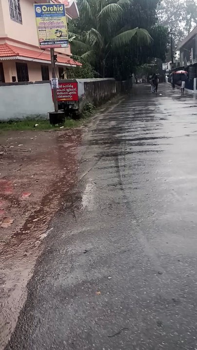 Rain
