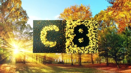 Opérations spéciales - 28 octobre