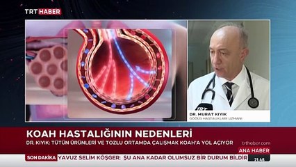 Grip KOAH ataklarını tetikliyor