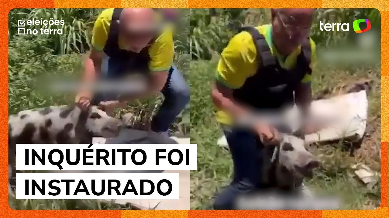Vereador de Fortaleza é investigado após maltratar porco para atacar Evandro Leitão (PT)