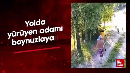 Yolda yürüyen adamı boynuzlayan koç