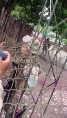 Evo comparte video de militar que involucra a policías en supuesto atentado