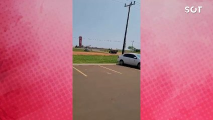 Homem autuado por maus-tratos após amarrar jacaré em carroceria de caminhão