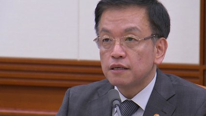 최상목 "경기 불확실성 유의...과도한 외환 변동성엔 신속대응" / YTN