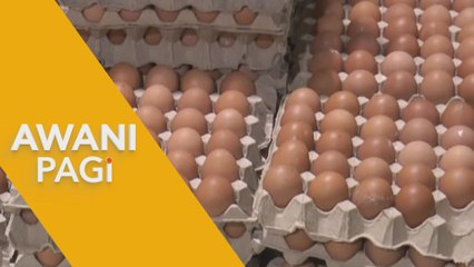 Awani Pagi: Telur bebas sangkar pilihan lebih mesra kebajikan untuk masa depan