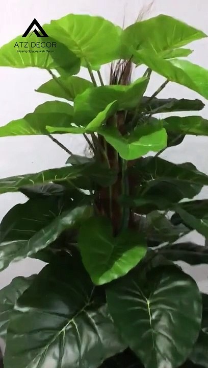 Mua cây trầu bà leo cột giả bảo hành 12 tháng, mẫu mã bắt mắt, tư vấn miễn phí, chất lượng sang trọng