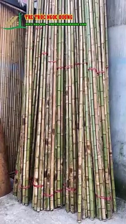Giải Pháp Lợp Mái Lá Cọ Chống Nóng Hiệu Quả Cho Văn Phòng Tre Trúc Ngọc Dương
