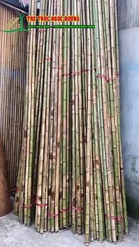 Giải Pháp Lợp Mái Lá Cọ Chống Nóng Hiệu Quả Cho Văn Phòng Tre Trúc Ngọc Dương