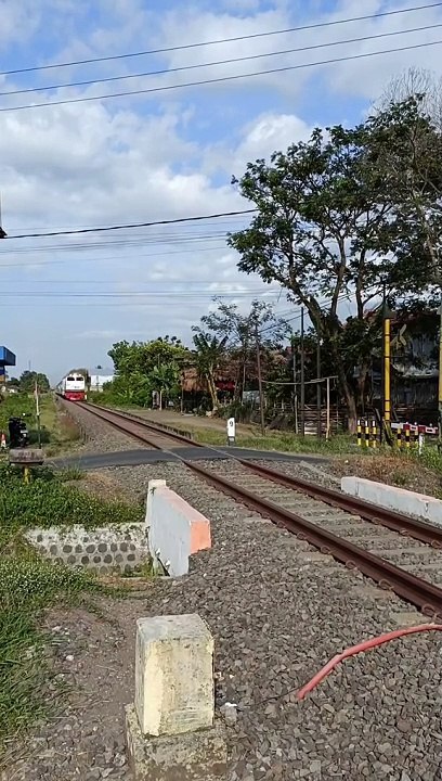 Melintas Langsung Tanpa Transit