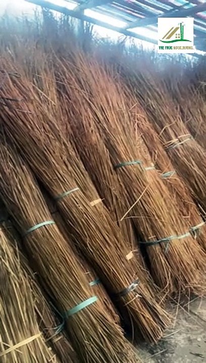 Cây guột lợp mái nhà chống nóng cập bến xưởng Tre trúc Ngọc Dương