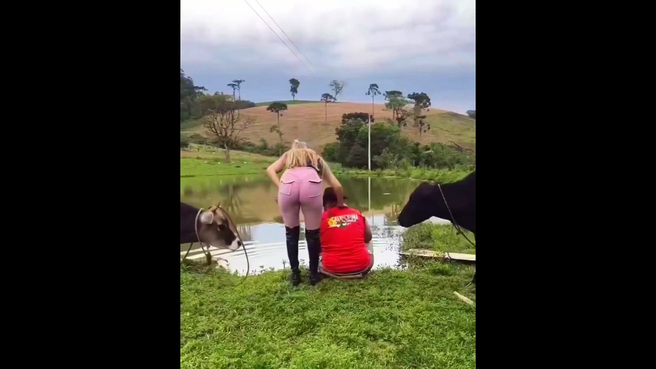 What the Cow doing.