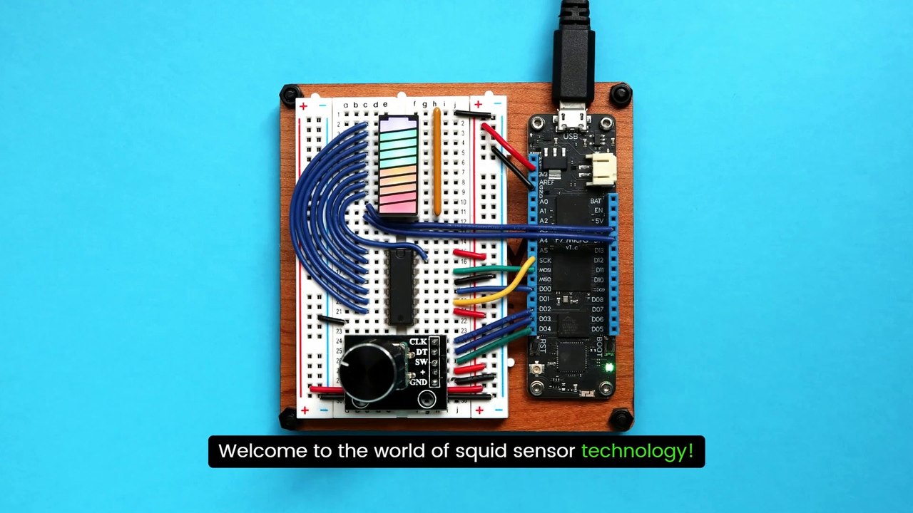 Squid Sensor Market
