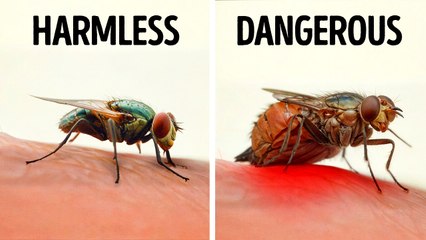 100+ Cool Animal Facts That Will Make You Stop and Think