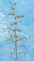 Chinese TikTok-DIY Magic: Create Something Amazing