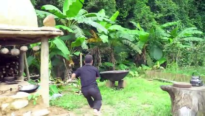 Dwarf family treating diseases with medicine from leaves - Discovering snake egg nests in the forest