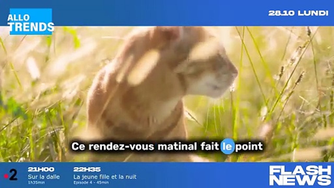 Journal de 8h du 30 octobre 2024 : Actu et Réplay