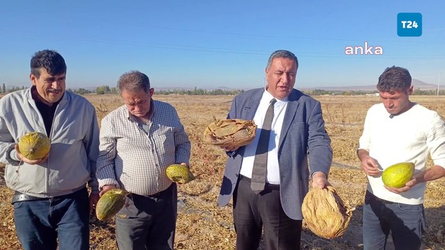 CHP'li Gürer'den iktidara çağrı: Üreticiye sahip çıkın, gerekli destekleri verin!