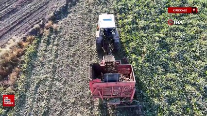 Kırıkkale’de kuraklık şeker pancarının rekoltesini etkiledi