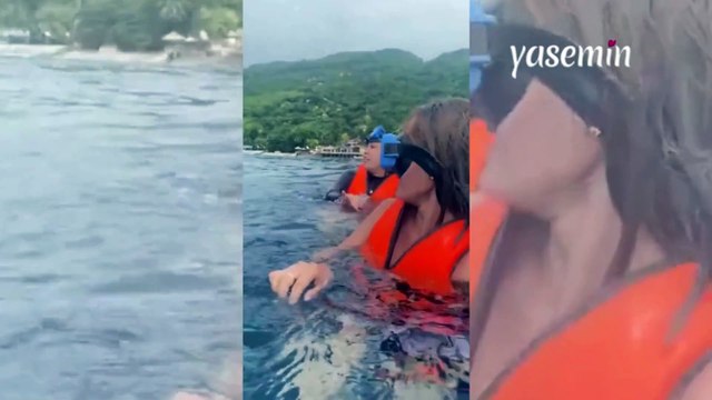 Denizde yüzenlerin yaşadığı korku dolu anlar! Balina Köpek Balığı...