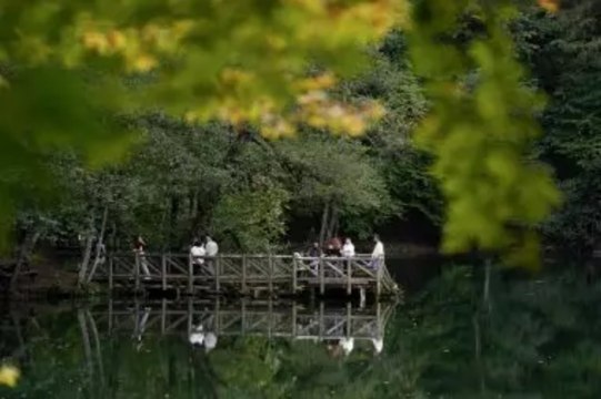 Sonbaharın tüm güzellikleri bir arada Yedigöller Milli Parkı