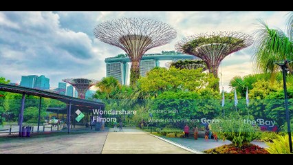 Team DX TRON Ep2 Floral Folly