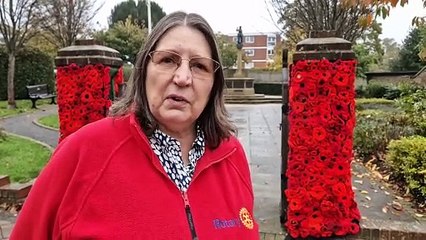 Remembrance knitted poppy display in Burgess Hill