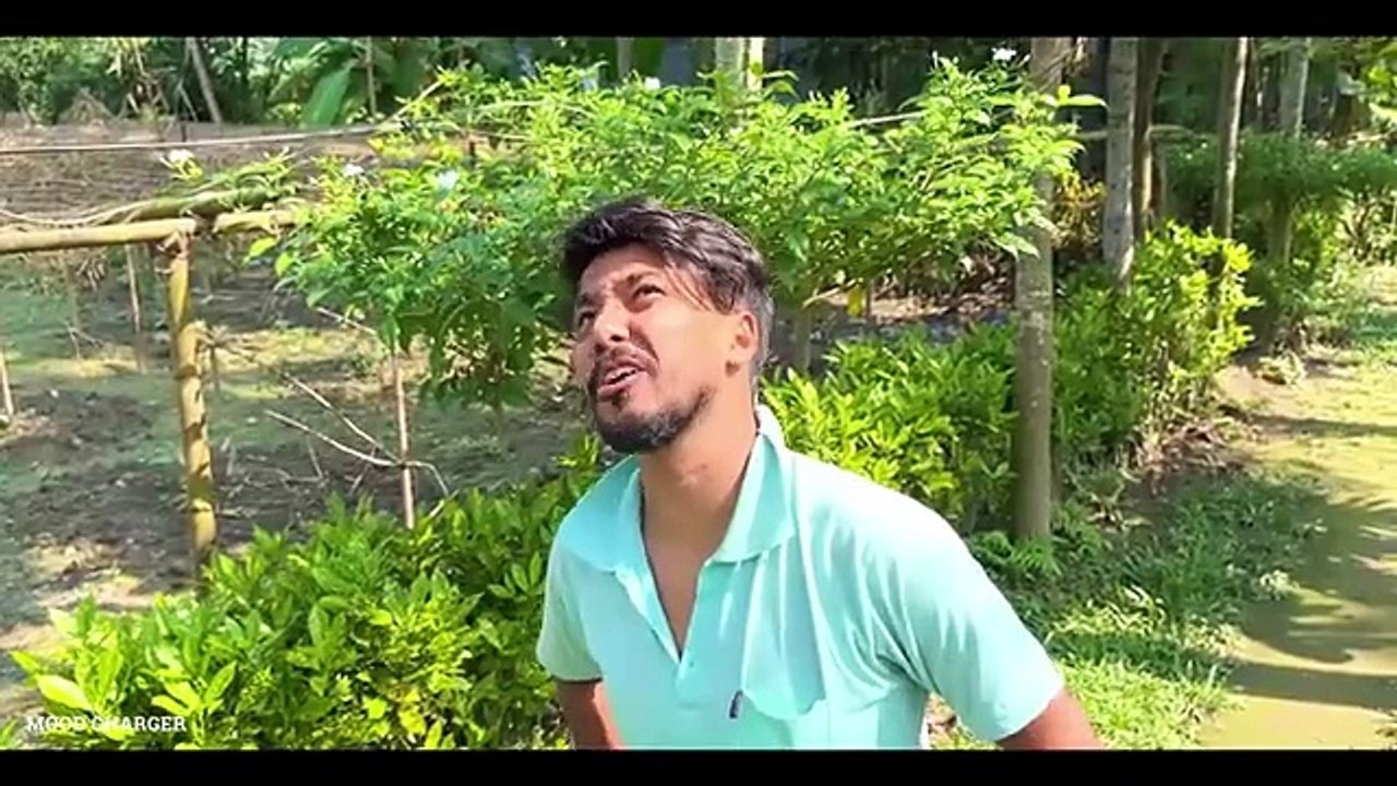 বউ এর জ্বালা . Bou ar jala .