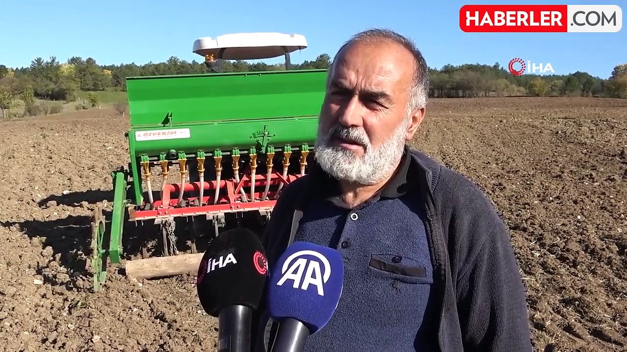 Kastamonu'da 12 Bin Yıllık Siyez Buğdayı Ekim Zamanı