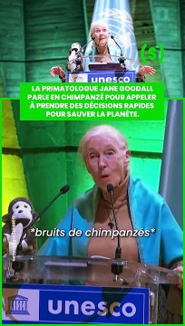 SIMONE - GREEN : Jane Goodall parle en chimpanzé pour appeler à prendre des décisions rapides pour sauver la planète