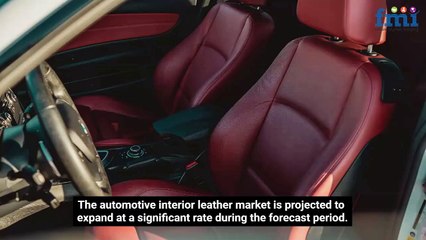 Automotive Leather Care: Tips for Keeping Your Interior Pristine